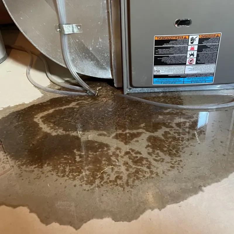 Pipe Burst and Leak Restoration in Whiteville, TN