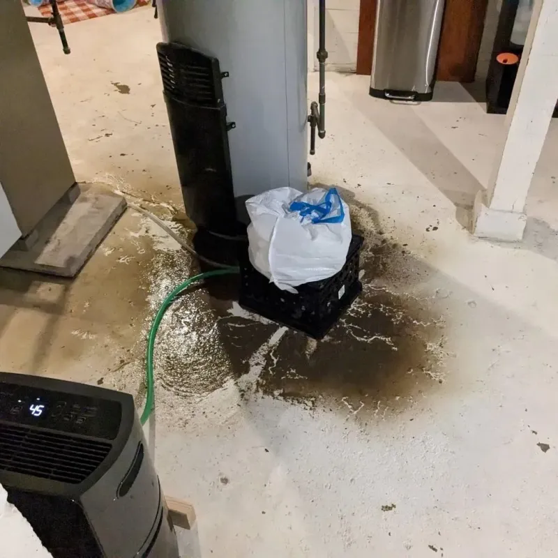 Sewage Backup Cleanup Service in Whiteville, TN